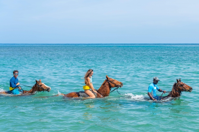 http://jt-rebuild.corals.io/media/xjNpm9pgAn/198/ChukkaSandyBay_Riding_Horse_in_Ocean.jpg